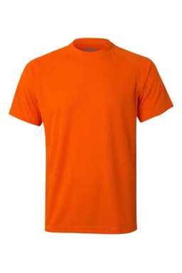 Camiseta técnica
