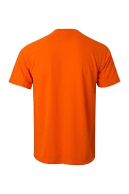 Camiseta técnica