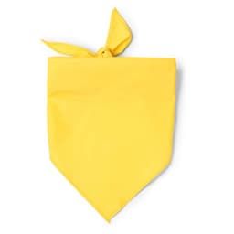JARANA