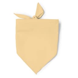 JARANA