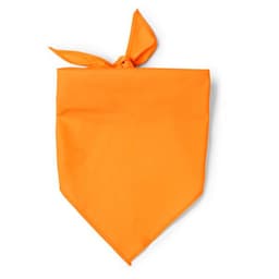 JARANA