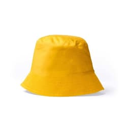 BOBIN