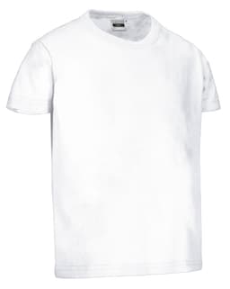 Camiseta infantil M/C DINO