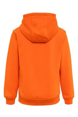 SIDNEY KIDS - SUDADERA CON CAPUCHA KIDS 270