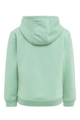 SIDNEY KIDS - SUDADERA CON CAPUCHA KIDS 270