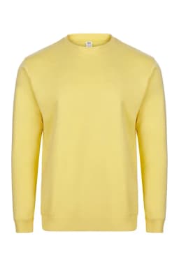 AVALON - SUDADERA CUELLO REDONDO 270