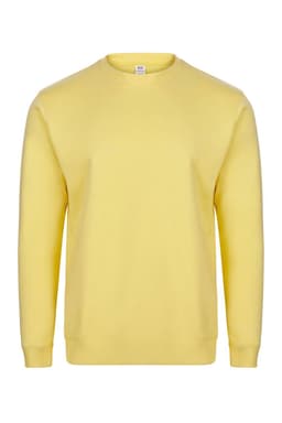 AVALON - SUDADERA CUELLO REDONDO 270