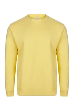 AVALON - SUDADERA CUELLO REDONDO 270