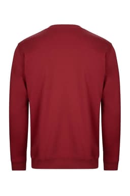 AVALON - SUDADERA CUELLO REDONDO 270