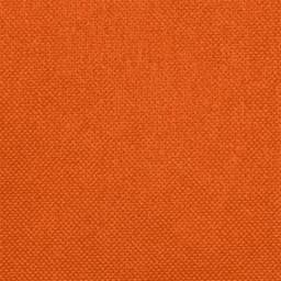 Mantel desechable grande HOSTEX