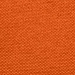 Mantel desechable grande HOSTEX