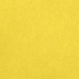 Mantel desechable individual HOSTEX