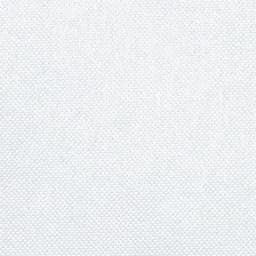 Mantel desechable individual HOSTEX