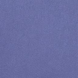 Mantel desechable individual HOSTEX