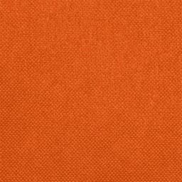 Mantel desechable individual HOSTEX