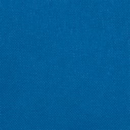 Mantel desechable individual HOSTEX