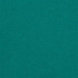 Mantel desechable individual HOSTEX