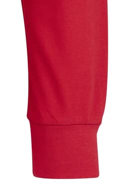 HOBART - POLO UNISEX MANGA LARGA 210