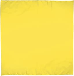 Pañuelo cuadrado BANDANA