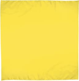 Pañuelo cuadrado BANDANA