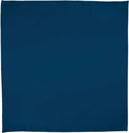 Pañuelo cuadrado BANDANA