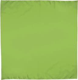 Pañuelo cuadrado BANDANA