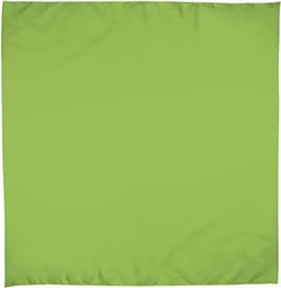 Pañuelo cuadrado BANDANA