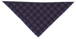 Pañuelo triangular CACHIRULO