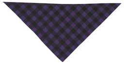 Pañuelo triangular CACHIRULO