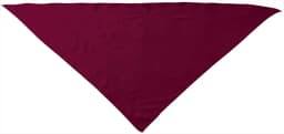 Pañuelo triangular FIESTA