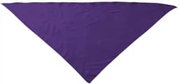 Pañuelo triangular FIESTA