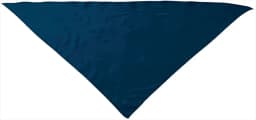 Pañuelo triangular FIESTA