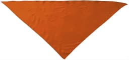 Pañuelo triangular FIESTA