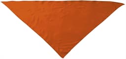 Pañuelo triangular FIESTA