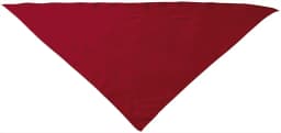 Pañuelo triangular FIESTA