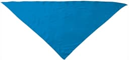 Pañuelo triangular FIESTA