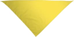 Pañuelo triangular GALA