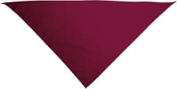 Pañuelo triangular GALA