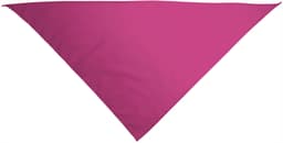 Pañuelo triangular GALA