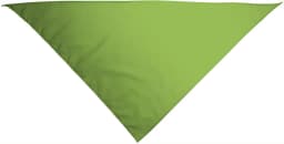 Pañuelo triangular GALA