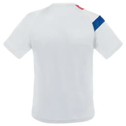 CAMISETA BANDERA FRANCIA D&FBL "NATIONS"