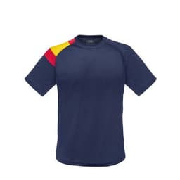 CAMISETA BANDERA NIÑO D&F MA