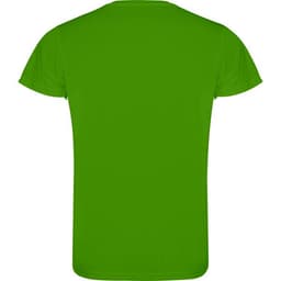CAMIMERA