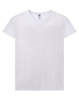 CURVES T-SHIRT V-NECK