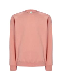 SWEATSHIRT RAGLAN UNISEX