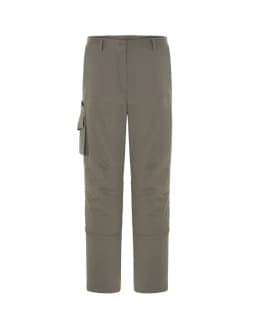 ARIZONA LADY (CARGO)