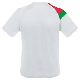 CAMISETA BANDERA PORTUGAL D&FBL "NATIONS"
