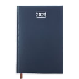 DIETARIO DUBLIN MARINO DIA/PAGINA