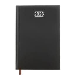 DIETARIO DUBLIN MARINO DIA/PAGINA