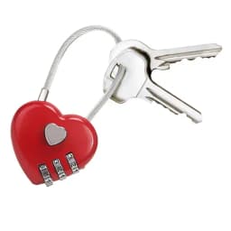 CANDADO DE COMBINACIÓN “PONT DES ARTS”